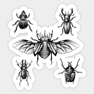 Boys Will be Bugs (no caption) Sticker